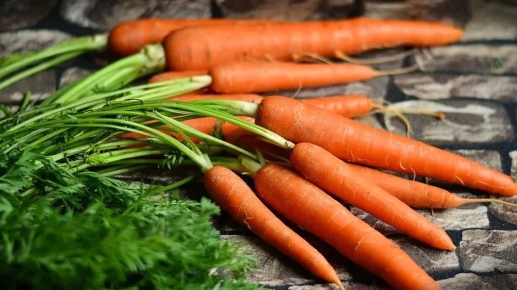 4 Reasons for Include Carrots in Your Diet