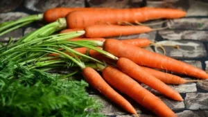 4 Reasons for Include Carrots in Your Diet