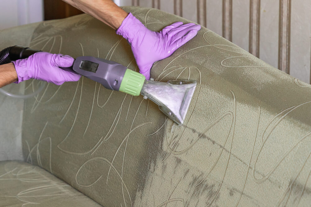 Professional Upholstery Cleaning Services in Mossman