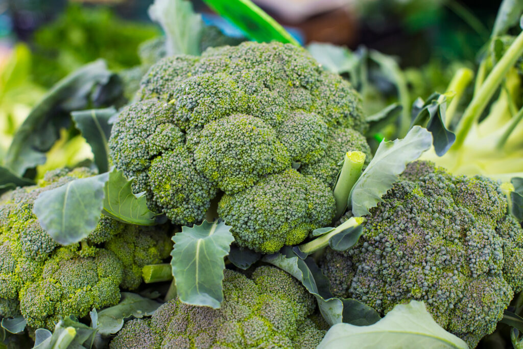 The Benefits of Broccoli for Your Health