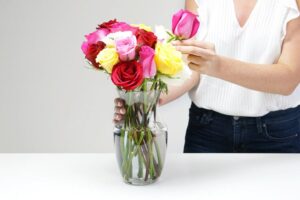 Flower Care Guide – Keep your Flowers Fresh and Beautiful